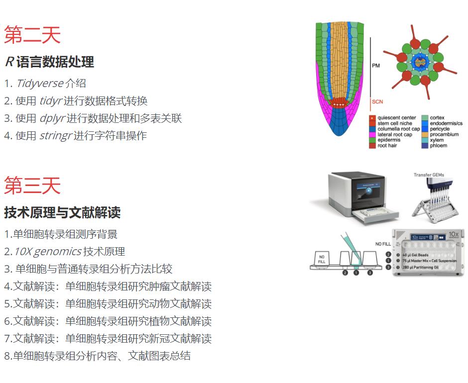 R语言与单细胞转录组数据分析