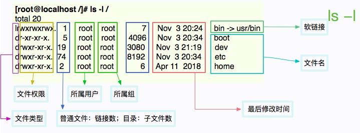 看完这篇你一定能掌握Linux