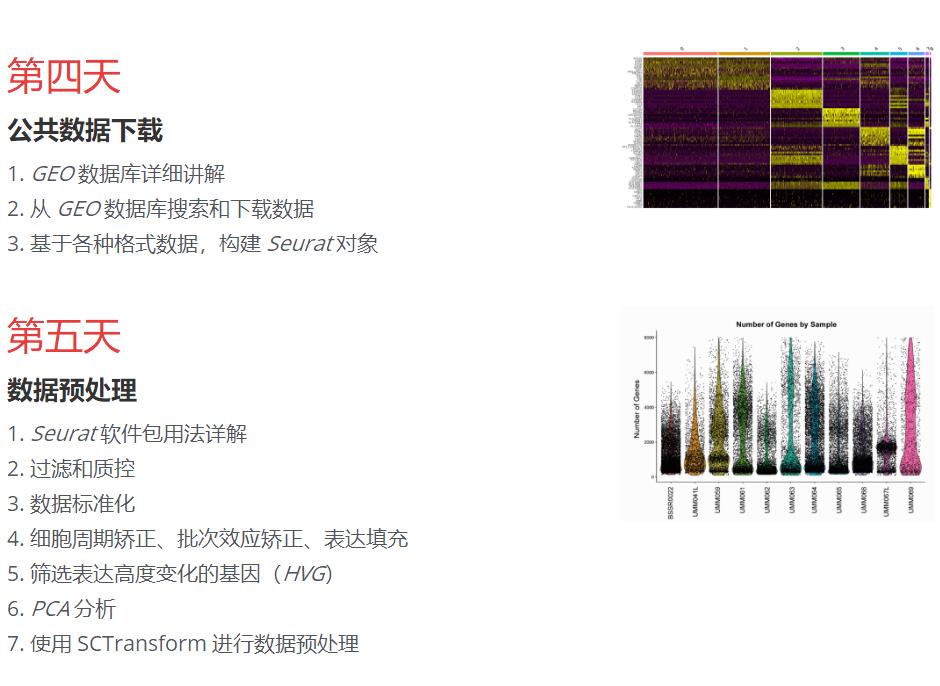 R语言与单细胞转录组数据分析