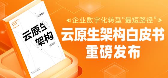 阿里巴巴云原生的 2020，注定不凡的一年