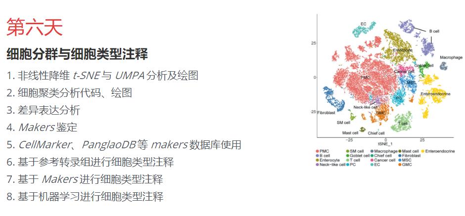 R语言与单细胞转录组数据分析