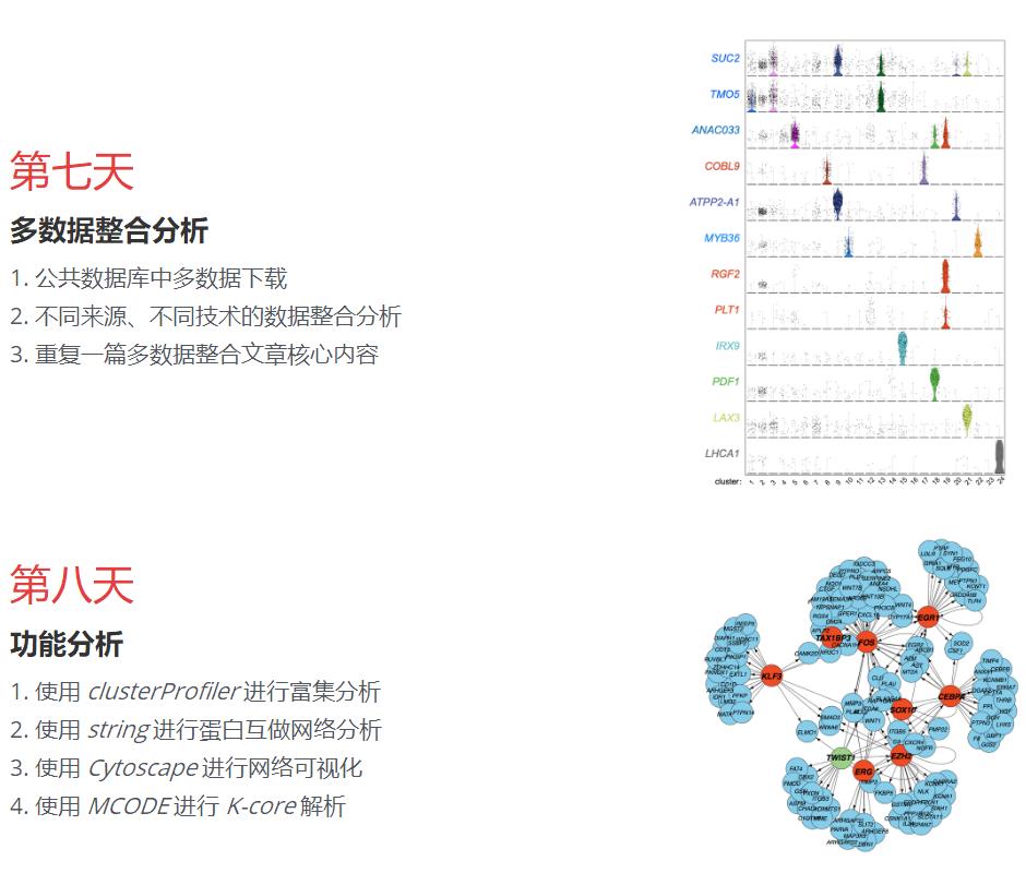 R语言与单细胞转录组数据分析
