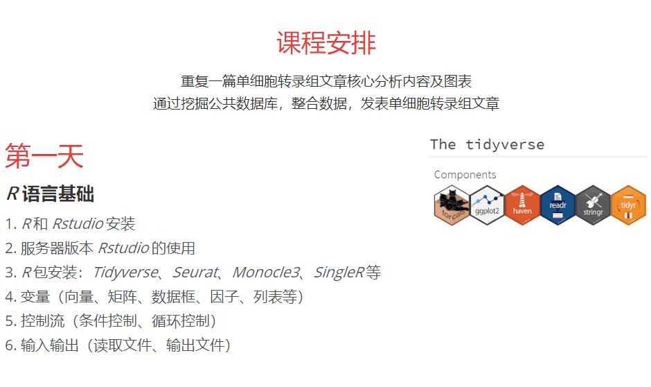 R语言与单细胞转录组数据分析