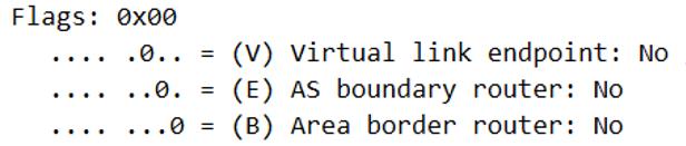 HCIE-Routing & Switching面试之OSPF在建立邻接过程中通告的LSA的详细信息