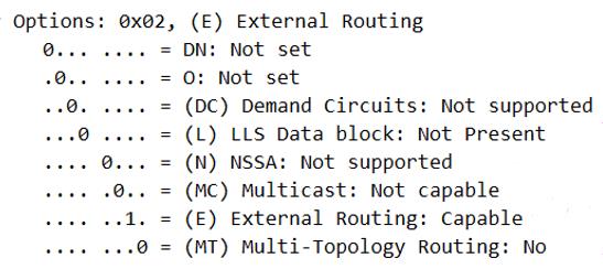 HCIE-Routing & Switching面试之OSPF在建立邻接过程中通告的LSA的详细信息