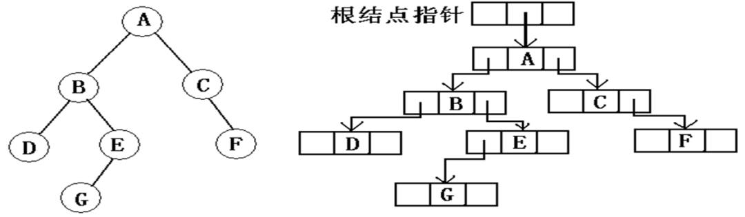 一文学会树及二叉树的操作