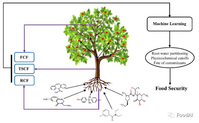 机器学习预测新兴污染物在植物中的吸收和转移：对食品安全的影响