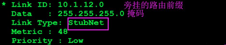 HCIE-Routing & Switching面试之OSPF在建立邻接过程中通告的LSA的详细信息