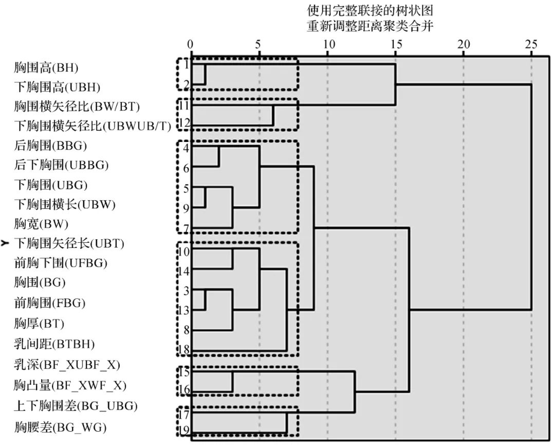 【研究】基于LSTM神经网络的青年女性胸部识别模型构建