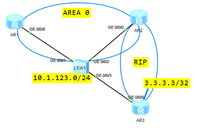 HCIE-Routing & Switching面试之OSPF在建立邻接过程中通告的LSA的详细信息