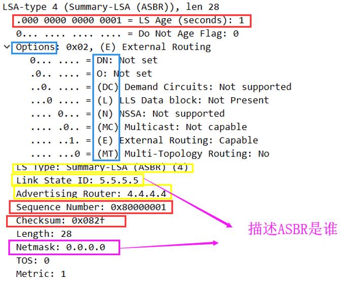 HCIE-Routing & Switching面试之OSPF在建立邻接过程中通告的LSA的详细信息