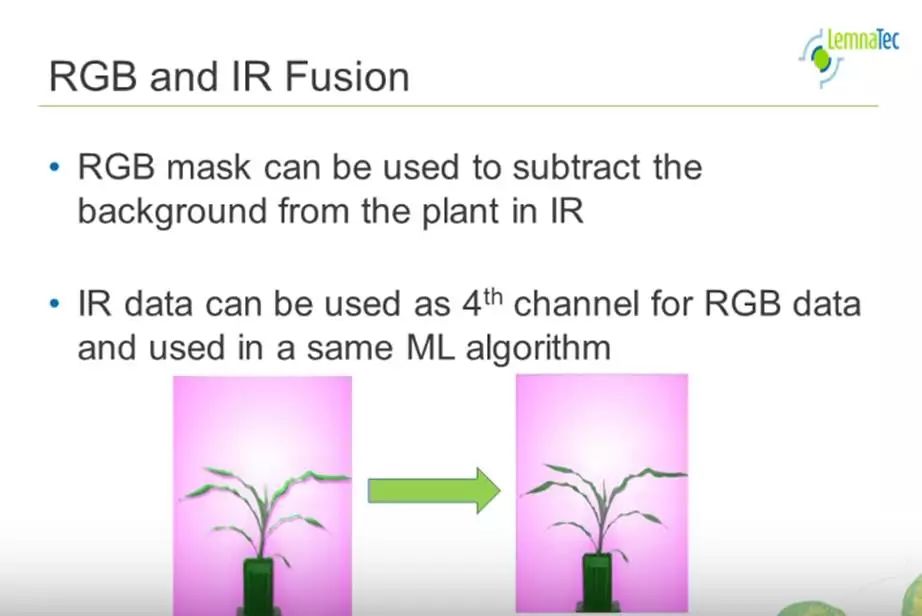 分享：利用机器学习与传感器融合技术进行植物精准表型分析