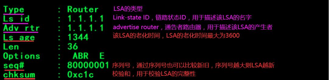 HCIE-Routing & Switching面试之OSPF在建立邻接过程中通告的LSA的详细信息