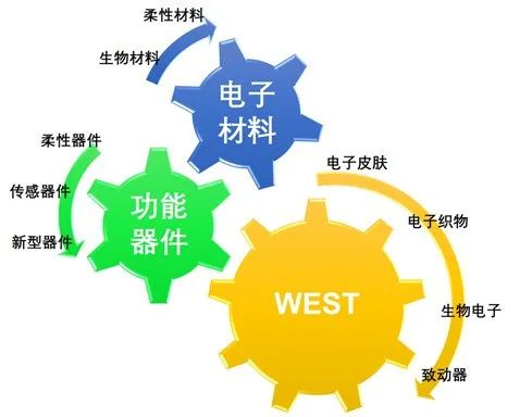 柔性器件-用于机器学习生物识别的柔性压电声学传感器