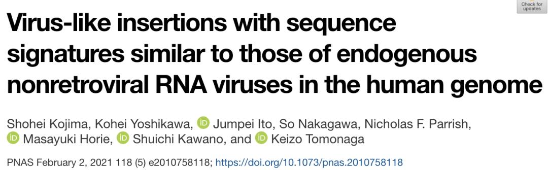 PNAS：机器学习揭示人类基因组中新型内源性病毒