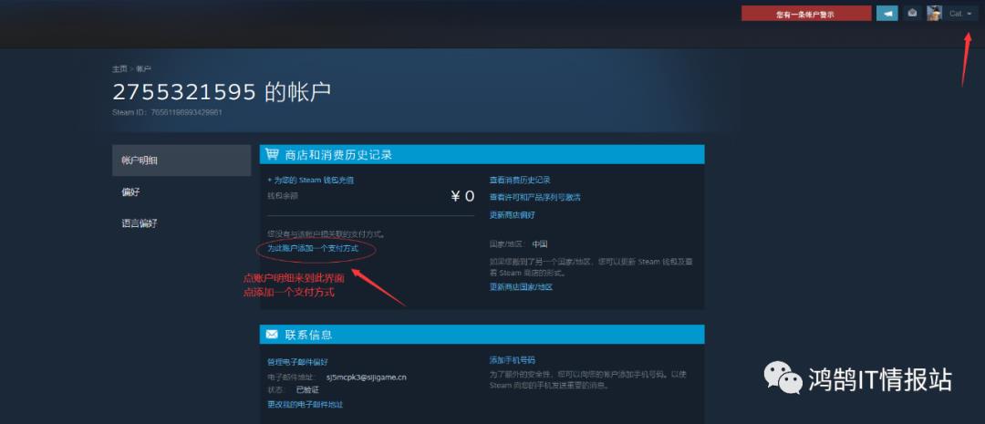 鸿鹄说，电竞防盗号【Steam最新盗号流程】