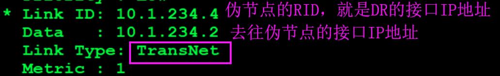 HCIE-Routing & Switching面试之OSPF在建立邻接过程中通告的LSA的详细信息