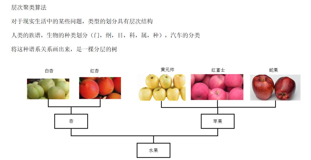 《机器学习-原理、算法与应用》配套PPT第四部分（深度学习概论、自动编码器、强化学习、聚类算法、半监督学习等）