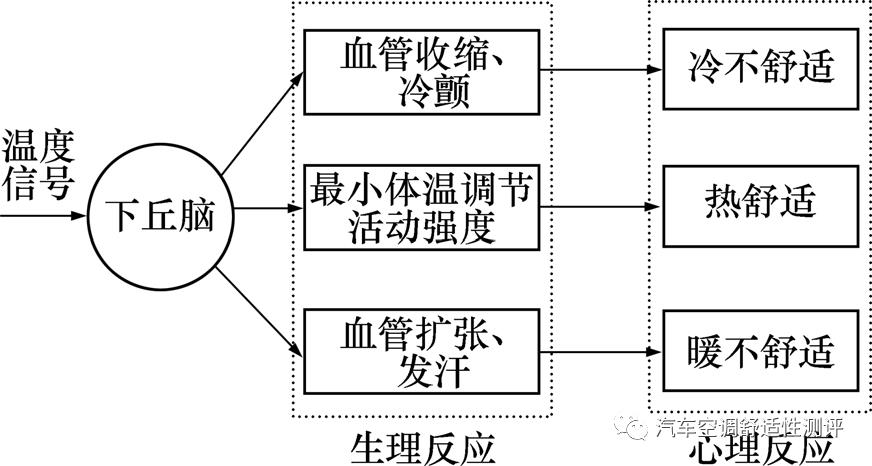 空调环境下基于红外图像识别人体热舒适性分析研究