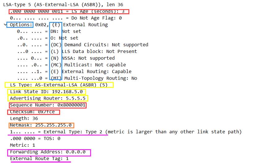 HCIE-Routing & Switching面试之OSPF在建立邻接过程中通告的LSA的详细信息