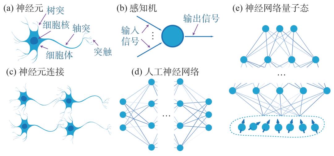 神经网络量子态及其应用