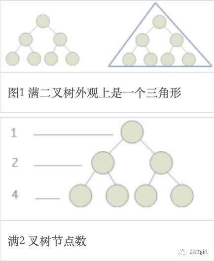 二叉树篇章之一