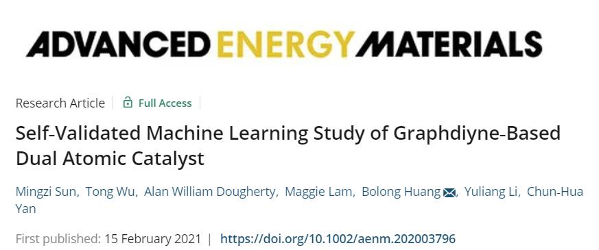 黄勃龙教授AEM研究文章：利用自验证机器学习技术研究石墨炔双原子催化剂