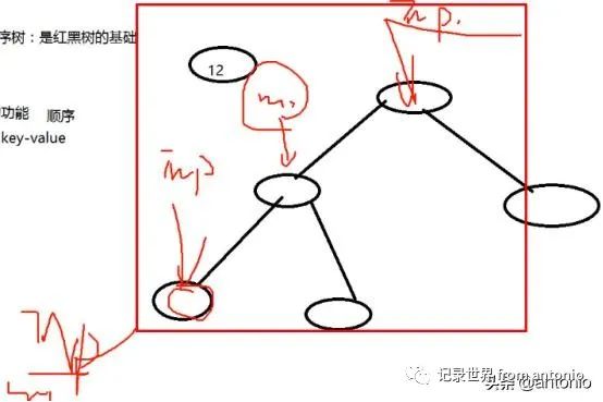 二叉树与红黑树