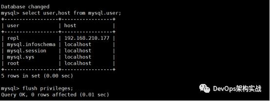 Mysql8.0 主从复制