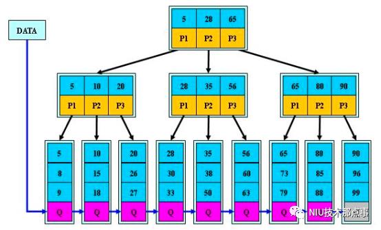 二叉树、平衡二叉树、红黑树、B-树、B+树日等之间的详解和比较