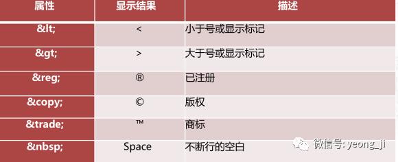 小白必看-HTML基础中的基础