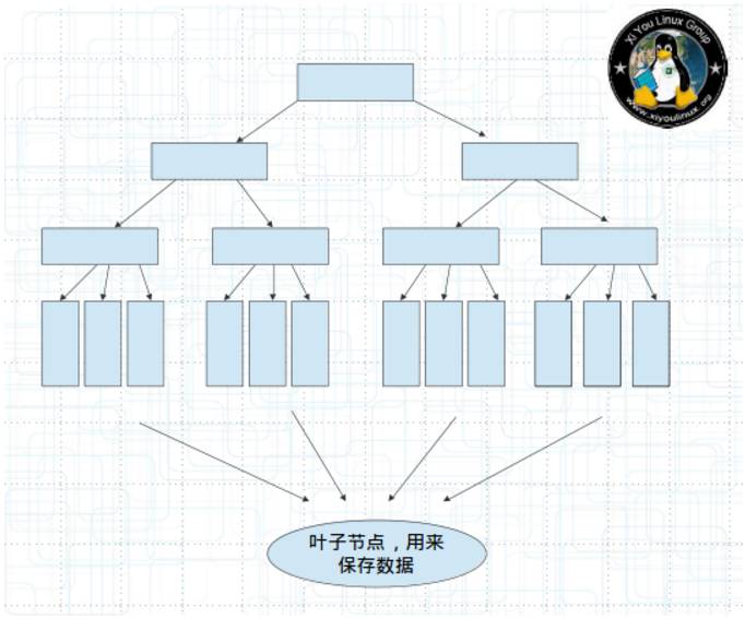 简述AVL树、红黑树、B/B+树、Trie树