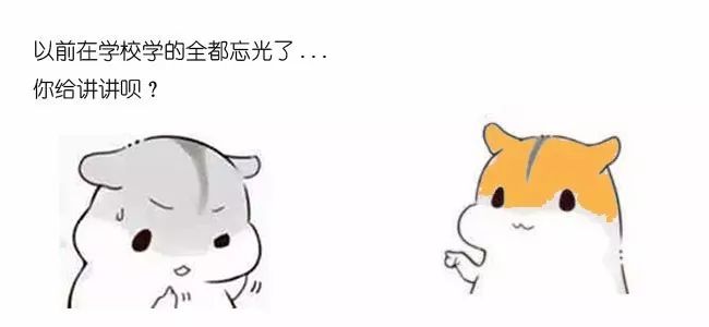 漫画算法：什么是红黑树？