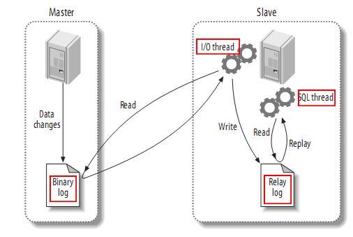 【第 33 期】高性能 MySQL：主从架构的复制原理及配置详解