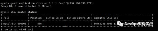 Mysql8.0 主从复制