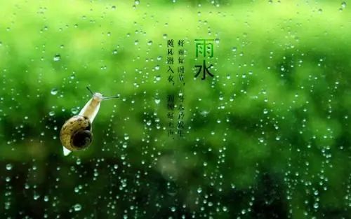 【慧娃成长记】好雨知时节——STEAM亲子互动项目