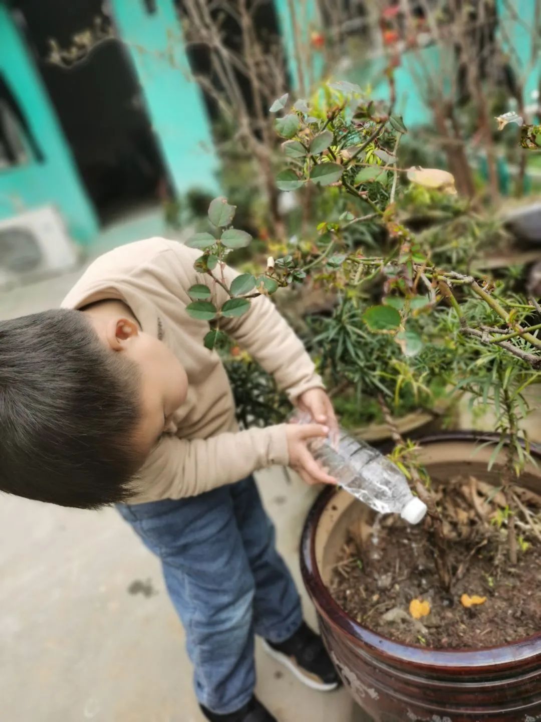 【慧娃成长记】好雨知时节——STEAM亲子互动项目