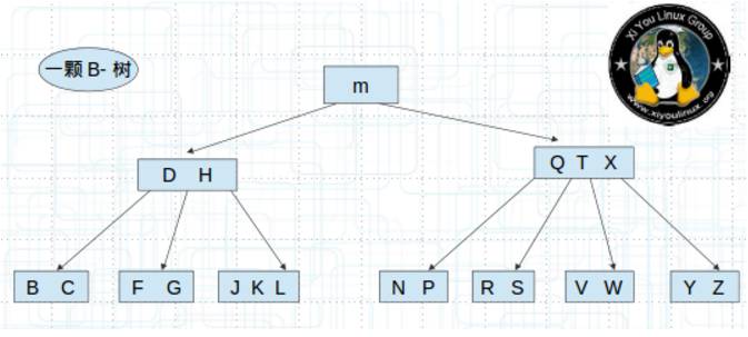 简述AVL树、红黑树、B/B+树、Trie树