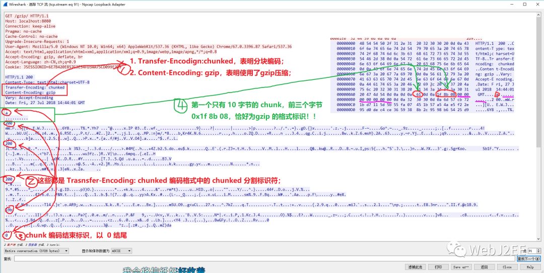 WEB性能调优：gzip 与 chunked