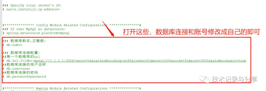 Nacos基于数据库存储数据、yml加载、权限控制介绍