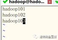 大数据实战之Centos搭建完全分布式Hadoop集群