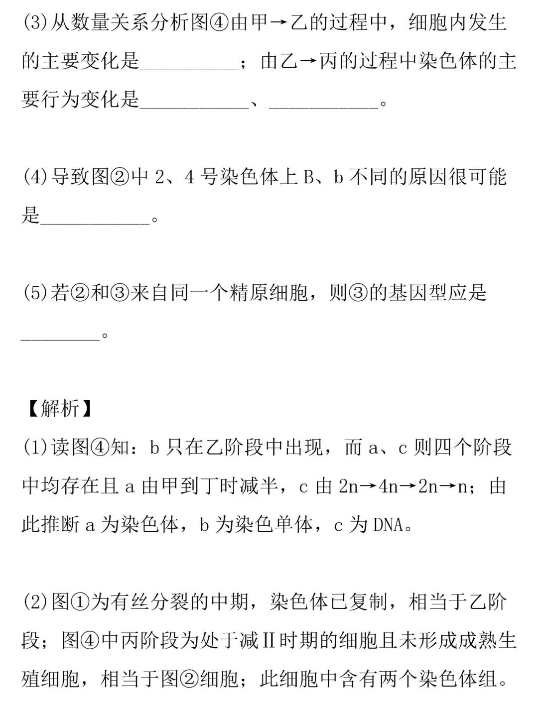 细胞分裂图像识别的知识详解