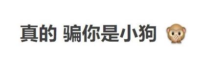 飘了！在Python面前，任何搜索引擎都得一边呆去！