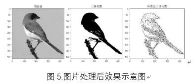 我的电赛作品：BP算法鸟类图像识别系统