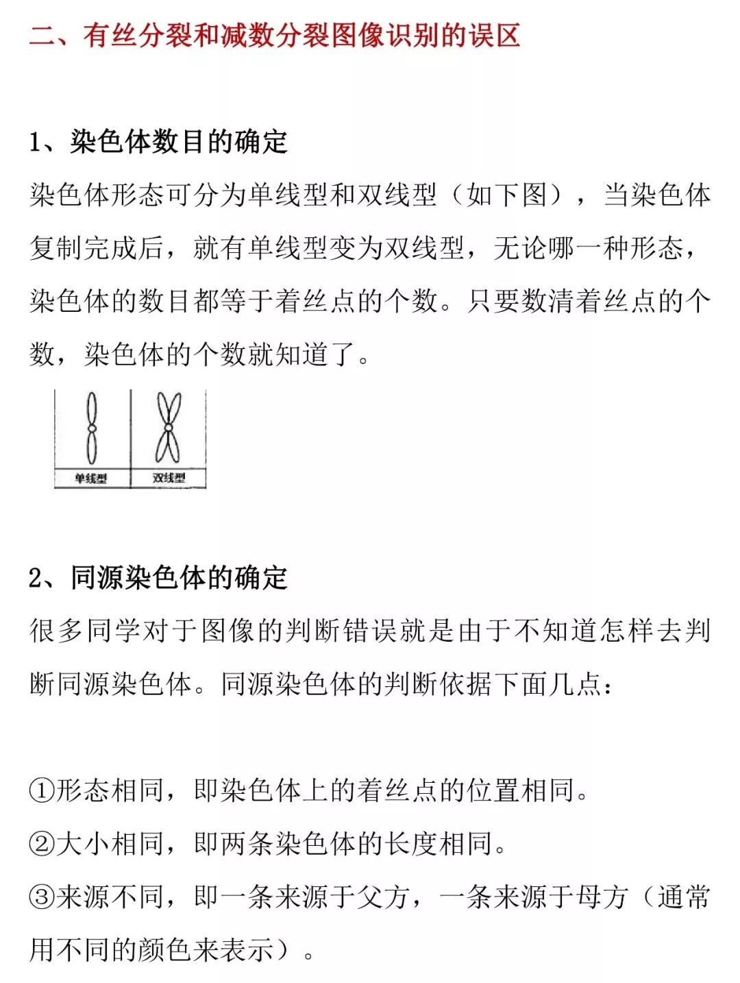 细胞分裂图像识别的知识详解