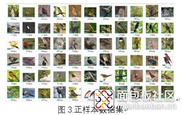 我的电赛作品：BP算法鸟类图像识别系统