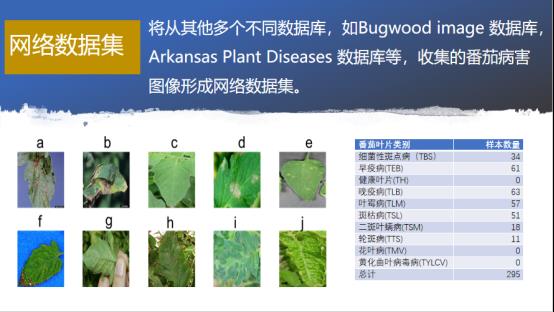 李就好：作物叶部病害图像识别研究