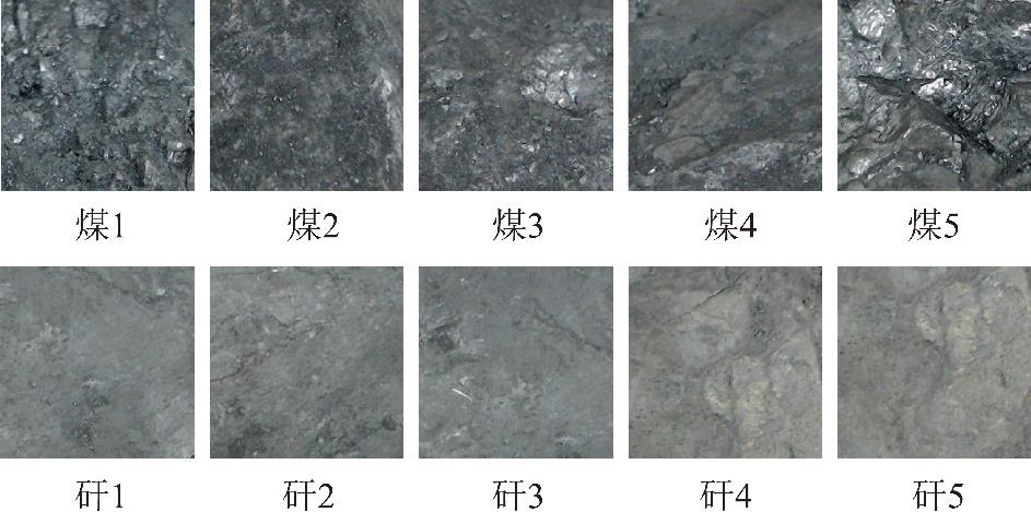 西安科技大学：李　曼——煤矸分选机器人图像识别方法和系统