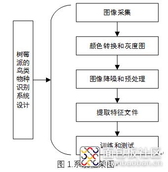 我的电赛作品：BP算法鸟类图像识别系统