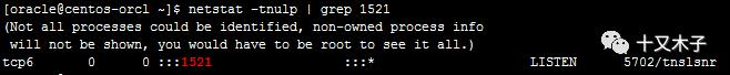 centos-7/8.2.2004安装oracle11g全过程